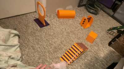 My incredible pet rat Carrot's turn to do some fun agility!