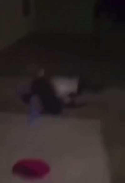 out your own window is crazy