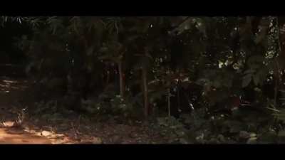 PDF trying to make ideas for promotional videos for a fund-raising campaign. (This is absolute cinema btw)