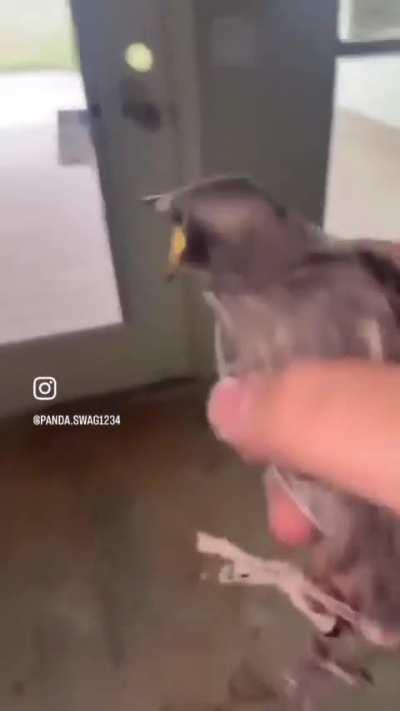 Borb was a Lil upset 