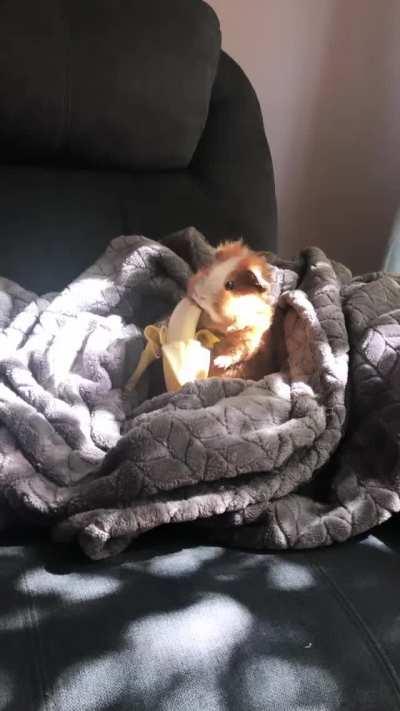 Beanbag at her happiest