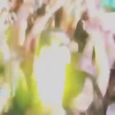 When your friends lied to you and you find yourself at a DJ Kahled concert