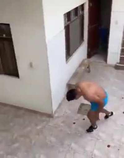 Get this cameraman an Oscar