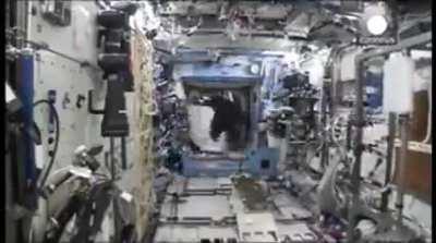 Mark Kelly, NASA astronaut and current US Senator (AZ), secretly sent his identical twin Scott Kelly, also a NASA astronaut who was spending a year in orbit, a gorilla suit as a birthday present to prank his crew mates and ground control