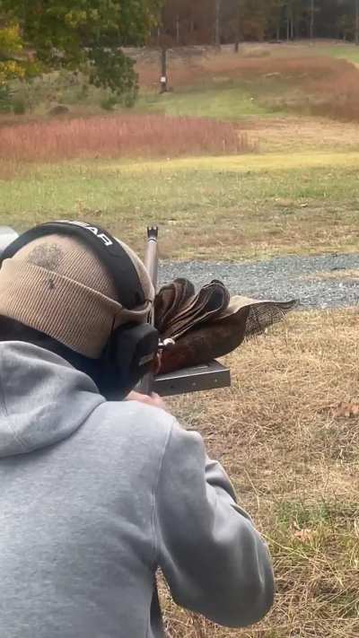 Took the m28/30 plinking with my reloads