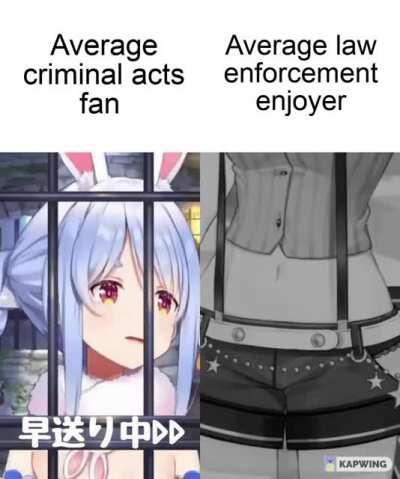 Average criminal acts fan VS Average law enforcement enjoyer