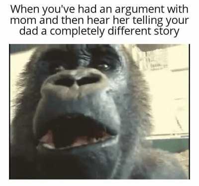 Dinner table be wildin