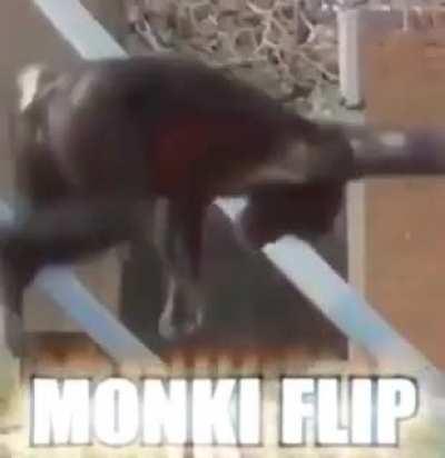 Monki flip