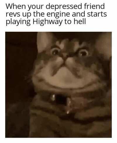 My friends are gonna be there too intensifies