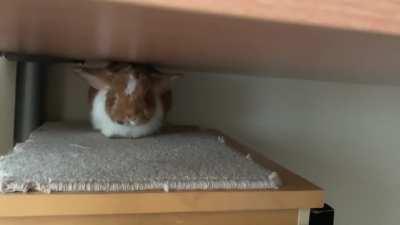 Meanwhile in the upside down