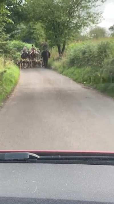 Sis-in-law found some new friends while out and about.