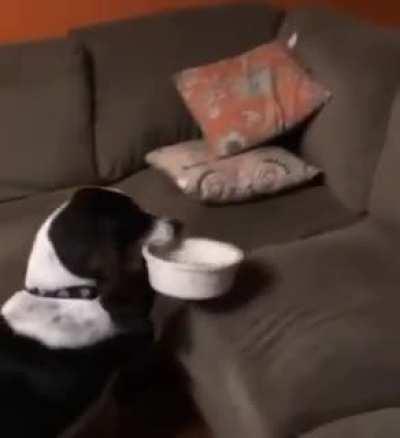 He's not lazy, he's smart.