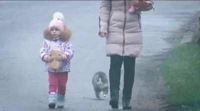 HitCat in Full Defense Mode