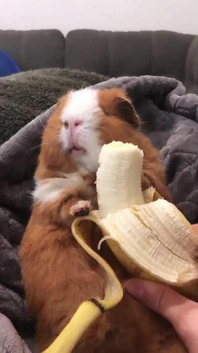 What do you like to do at night?