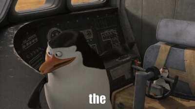 I came looking for copper and I found gold