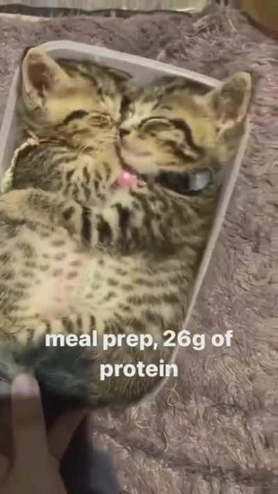 meal prep