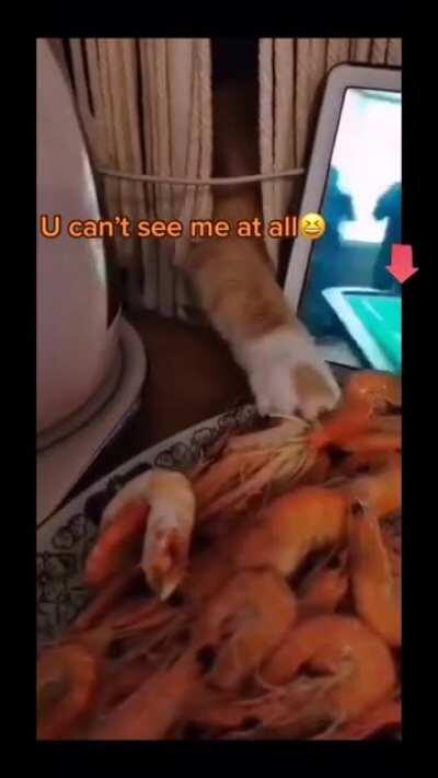 You can't see me at all