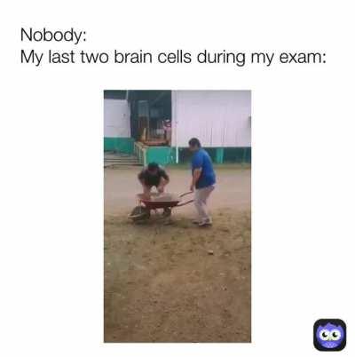 There’s no way someone is this dumb, someone is this helpful and someone is filming at the same time