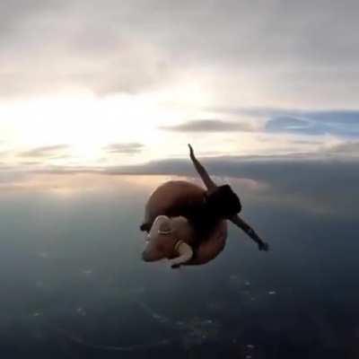 I think this fits here