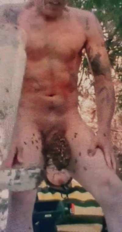 BEES ON MALE GENITALS