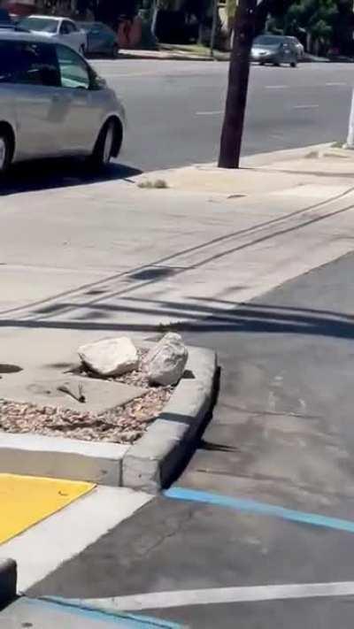 i'm worried about the soles of his feet