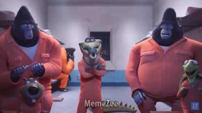 Look at this monke go he is so talented