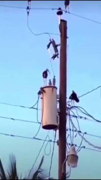 One mans tragedy is anothers blessing