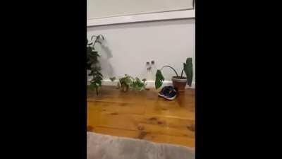 Men only want one thing and its disgusting