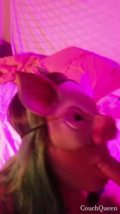 🎵 gluck gluck gluck 🎵