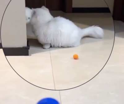 Came from left field