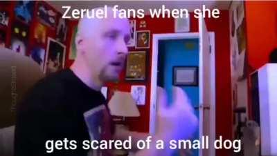 Gabriel Dropout fans explain