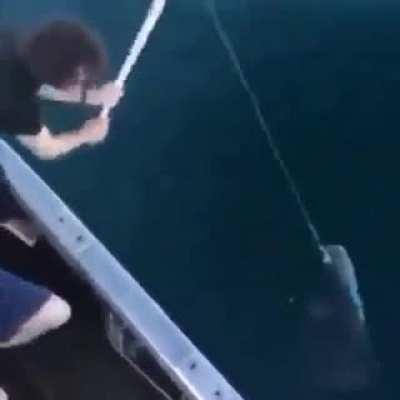 jaja alaben a Rusia o nos vamos a la B