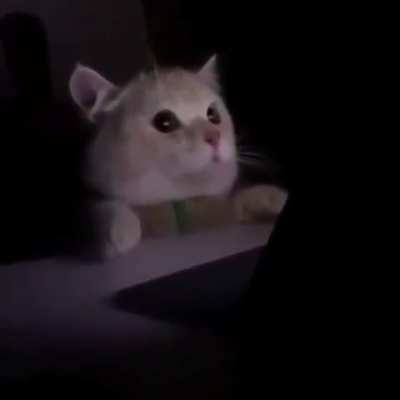 +When you accidentally turn on light mode+