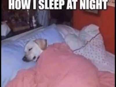 Shhhhhh he’s sleeping