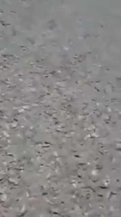 Set him up and knocked him down