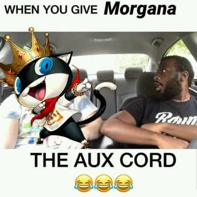 Morgan wearing shoes?!😡 I want Morgan paws!😡