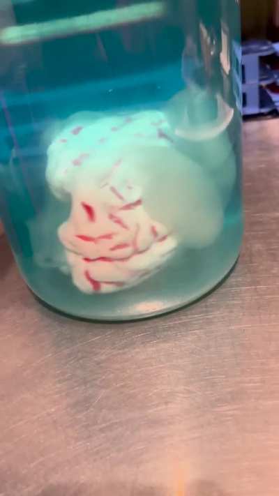 What is this and how do I grow it?