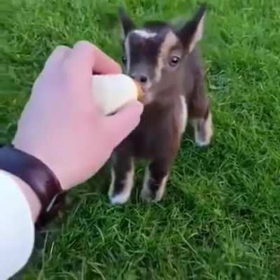 How cute this Baby is ..........