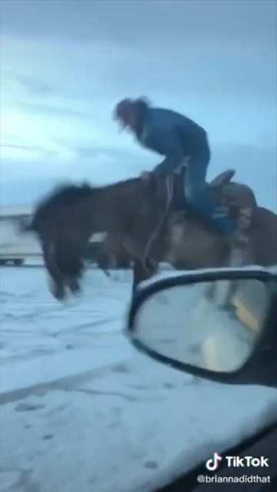 Cowboy seems to be totally in control of the situation.