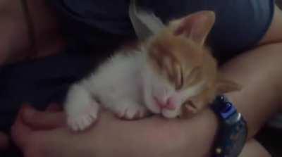 MRW i stay up past my bedtime