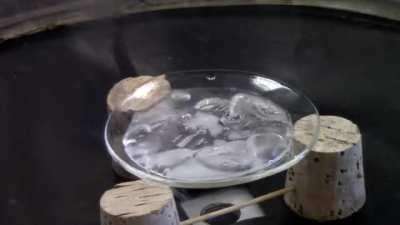 Water at its triple point. The triple point is the only condition in which all three phases (solid, liquid, gas) can coexist.