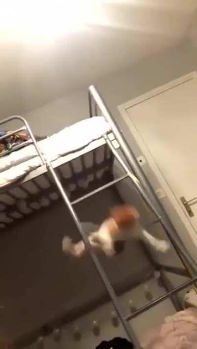 Someone please give this sound effects