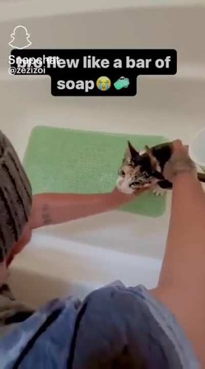 snapchats got the funniest shit ever bro