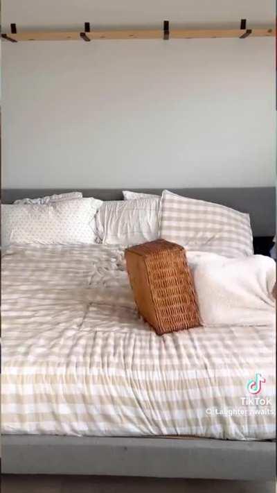 Newborn photo shoots