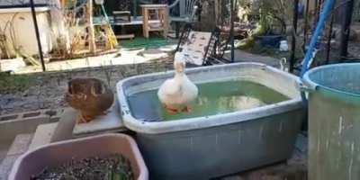 When you wanna take a bath...