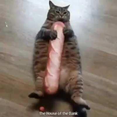 blursed_baguette