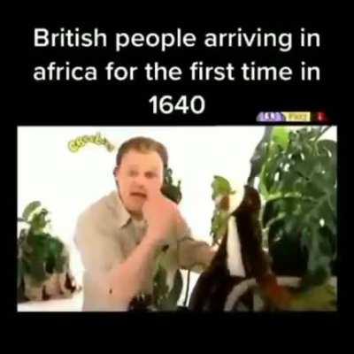 Here you go, have some monkey memes