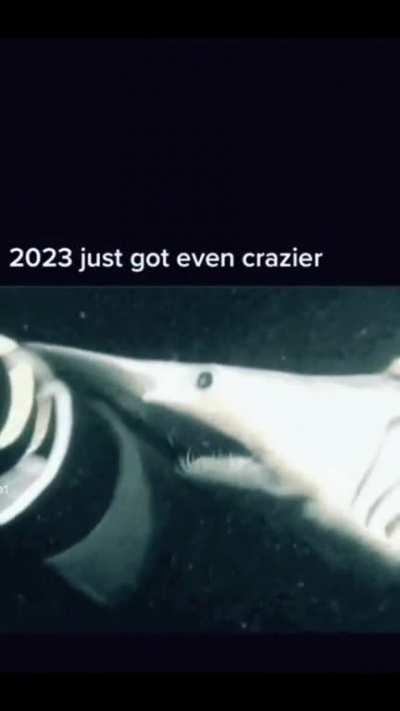 Last fact of the gay, I mean day