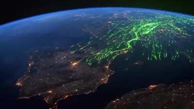 Bird migration tracked by GPS