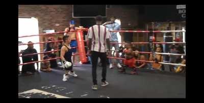 Jake Paul's next opponent?